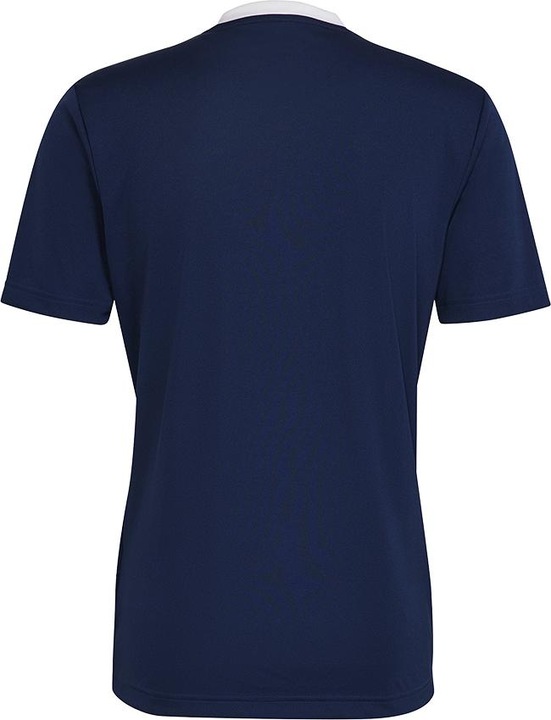 Actual product image adidas Entrada 22 Football Shirt Men (M)