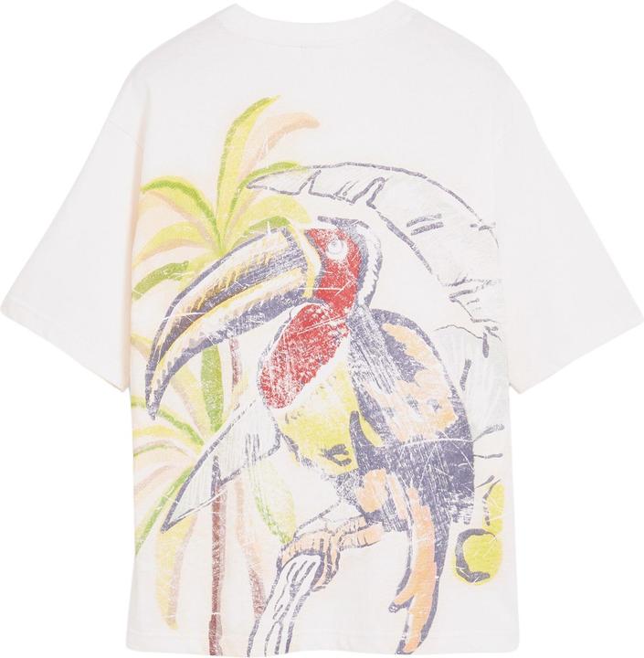 Image du produit Desigual Paco (L)