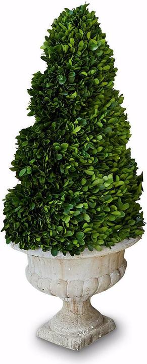 Loberon Deco Tree Humbria verde/crema (75 cm)