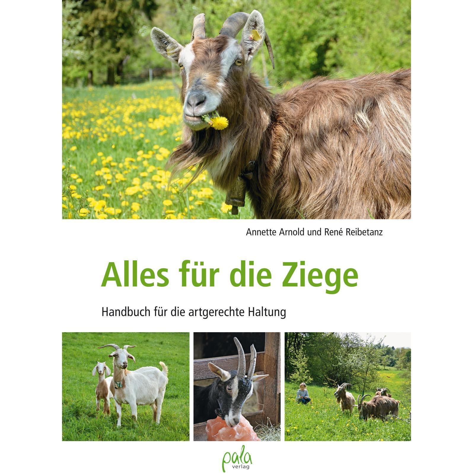 Tina Büttner, Ratgeber von Tina Büttner, René Reibetanz, Annette Arnold