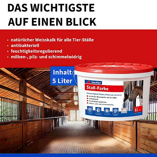 Actual product image Baufan Stable colour (White, 5 l)