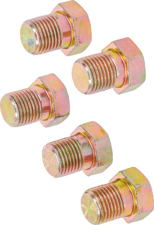 Actual product image BGS Ölablassschrauben