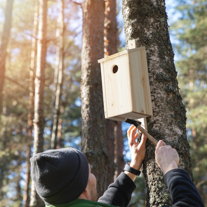 Actual product image Relaxdays Nest Aid, Hanging Birdhouse