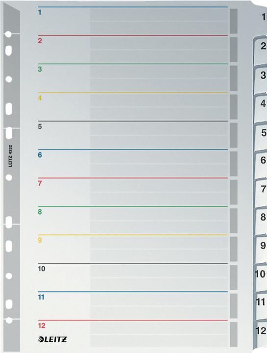 Actual product image Leitz Plastic register - rewritable