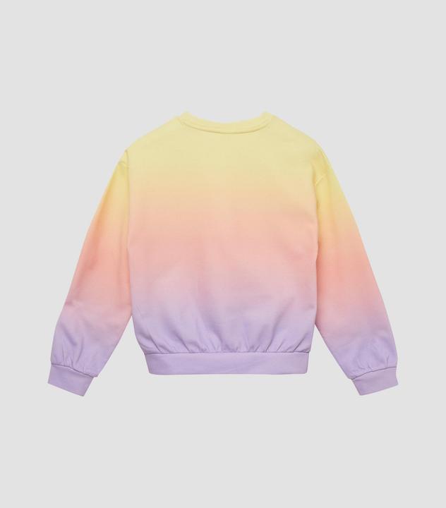 Actual product image s.Oliver Sweatshirt Sweatshirt (158, 164)