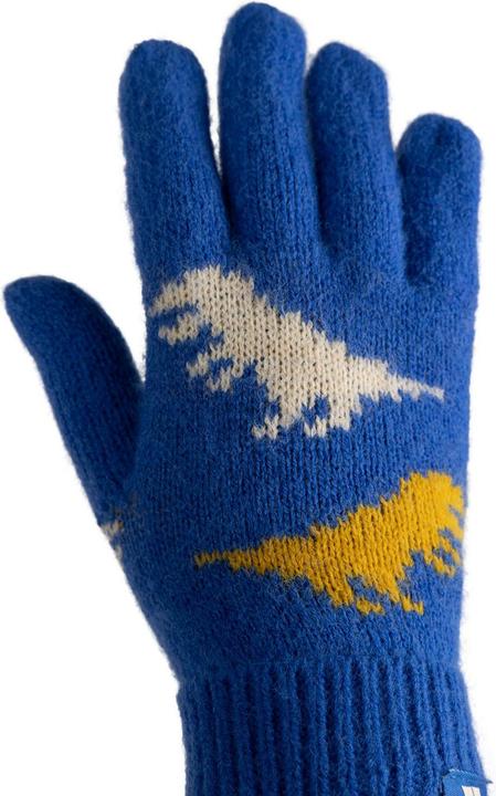 Produktbild Trespass CASPER Kinderhandschuhe (5, 7)