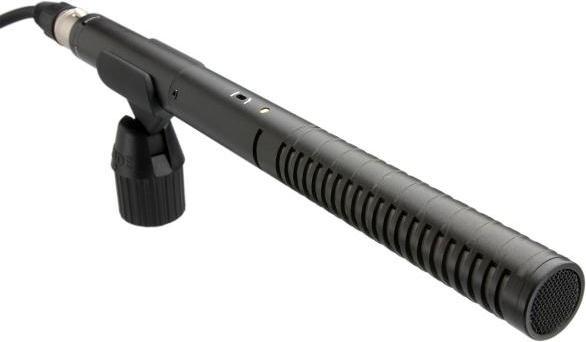 Rode NTG-2, Deadcat mit SM3-R, Boompole 3m, Boompole Bag