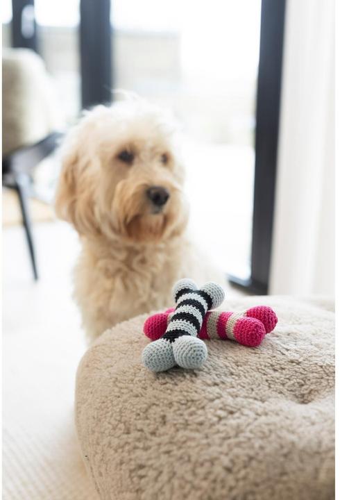 Image du produit Creativ Company Kit de bricolage Crochet Os pour chien
