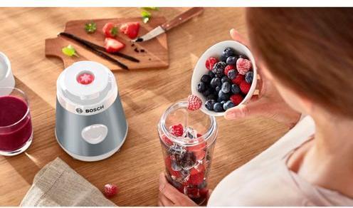 Actual product image Bosch Hausgeräte VitaPower Serie 2 (450 W)