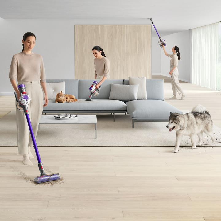 Actual product image Dyson V8 Origin