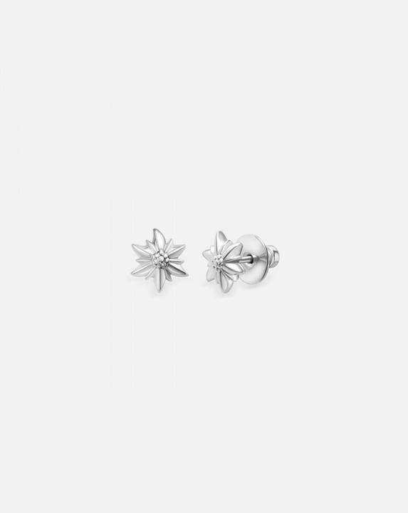 Image du produit Liliflo Clous d'oreilles Edelweiss en acier inoxydable. Système d'ailettes