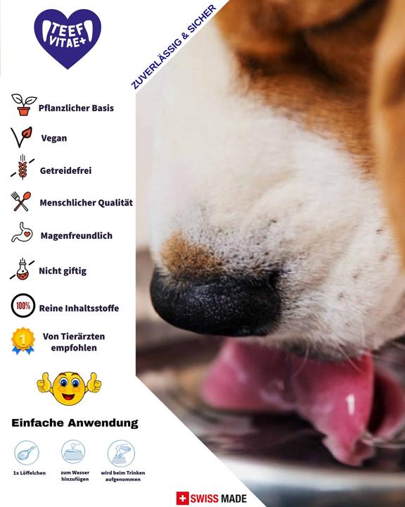 Image du produit Teef Vitae+ Soins dentaires (Chien, Chat)