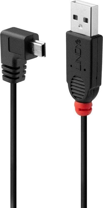 Produktbild Lindy USB Kabel gewinkelt (1 m, USB 2.0)