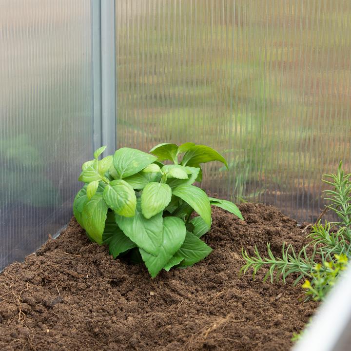 Actual product image Relaxdays Cold Frame Aluminium