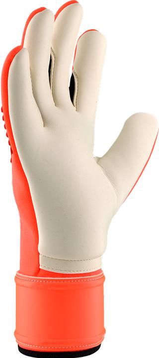 Productafbeelding Puma FUTURE Pro SGC (10.5)