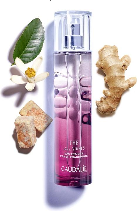 Actual product image Caudalie Thé des Vignes Fresh (Eau fraîche, 50 ml)