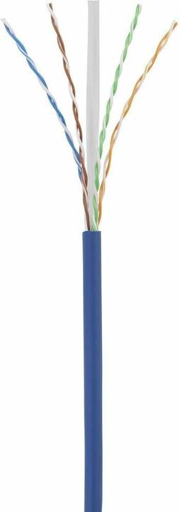 Image du produit Renkforce RF-5043878 Câble réseau RJ45, câble patch CAT 6 U/UTP 25.00 cm Bleu mi (U/UTP, CAT6, 0.25 m)