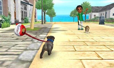 Produktbild Nintendo Nintendogs Cats: Zwergpudel (3DS, DE)