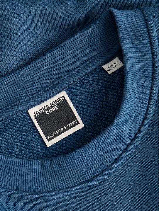 Produktbild Jack & Jones Jcofade Print Sweat Crew Neck Styd Aw25 (M)