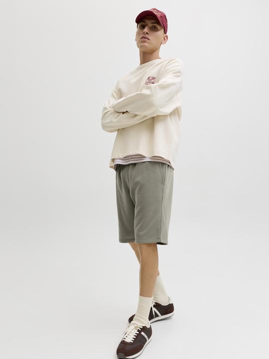 Image du produit Jack & Jones Regular Fit Sweat-Shorts Sweat-Shorts (XL)