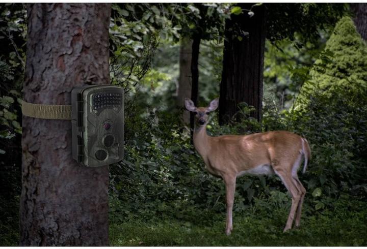 Produktbild Renkforce Wildkamera 13 MP 2.7K