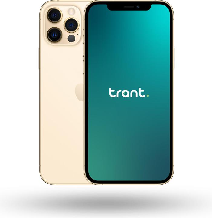 Trant.ch iPhone 12 Pro (128 GB, Gold, 6.10", SIM + eSIM, A / Wie neu)