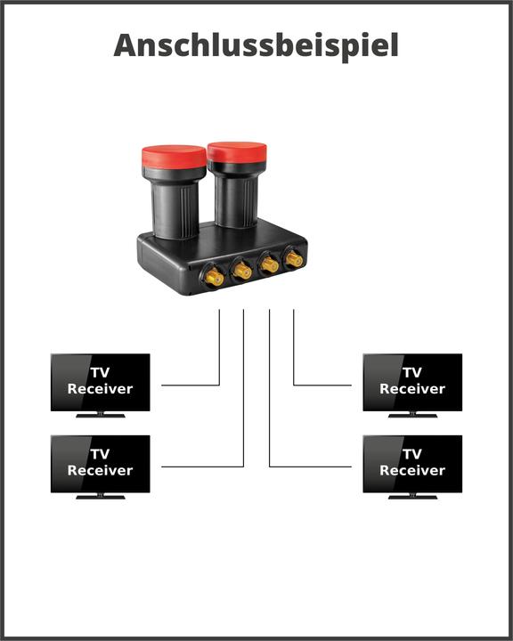 Immagine prodotto Megasat Convertitore d'antenna satellitare Diavolo (Quad LNB, 40mm)
