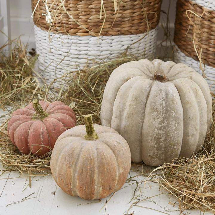 Actual product image Loberon Pumpkin