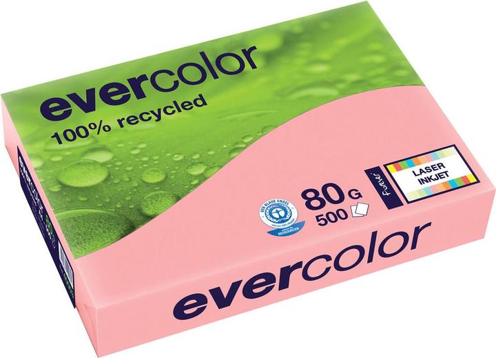 Immagine prodotto Clairefontaine Evercolour (A4, 500 lamelle, 80 g/m²)