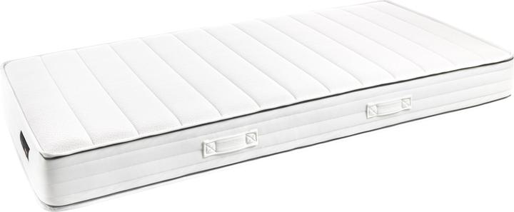 Image du produit Robusta Swiss Bedding Elastica (Noyau de printemps, 120 x 190 cm)