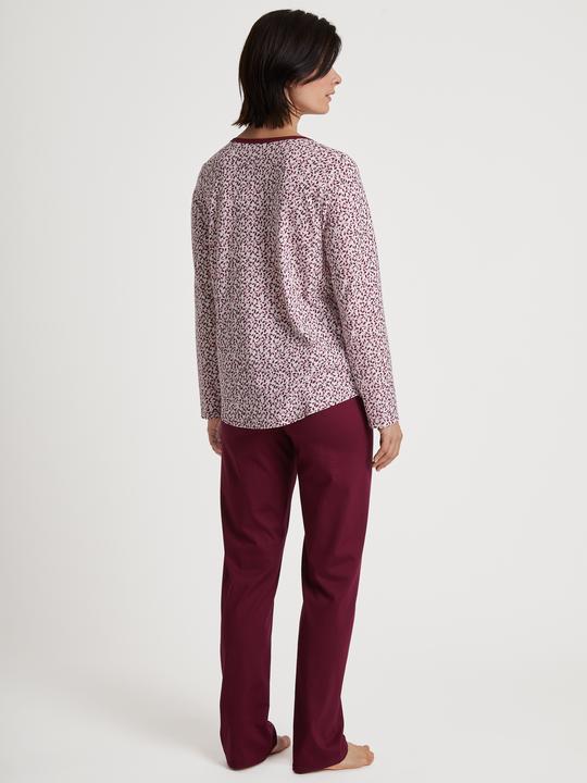 Produktbild Calida Special (S)