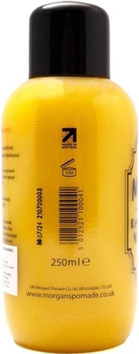 Actual product image Morgans Pomade Revitalising Shampoo (250 ml, Liquid shampoo)