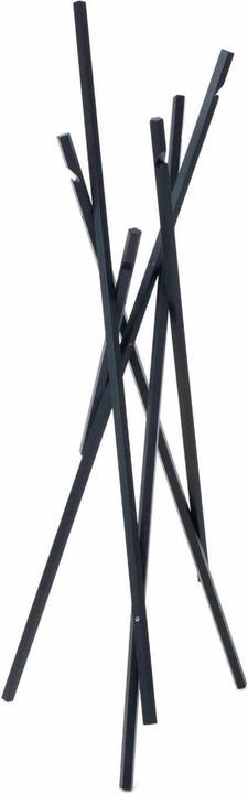 Ash, Black lacquered