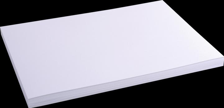 Produktbild Exacompta Karteikarten (A3, 205 g/m², 100 x)