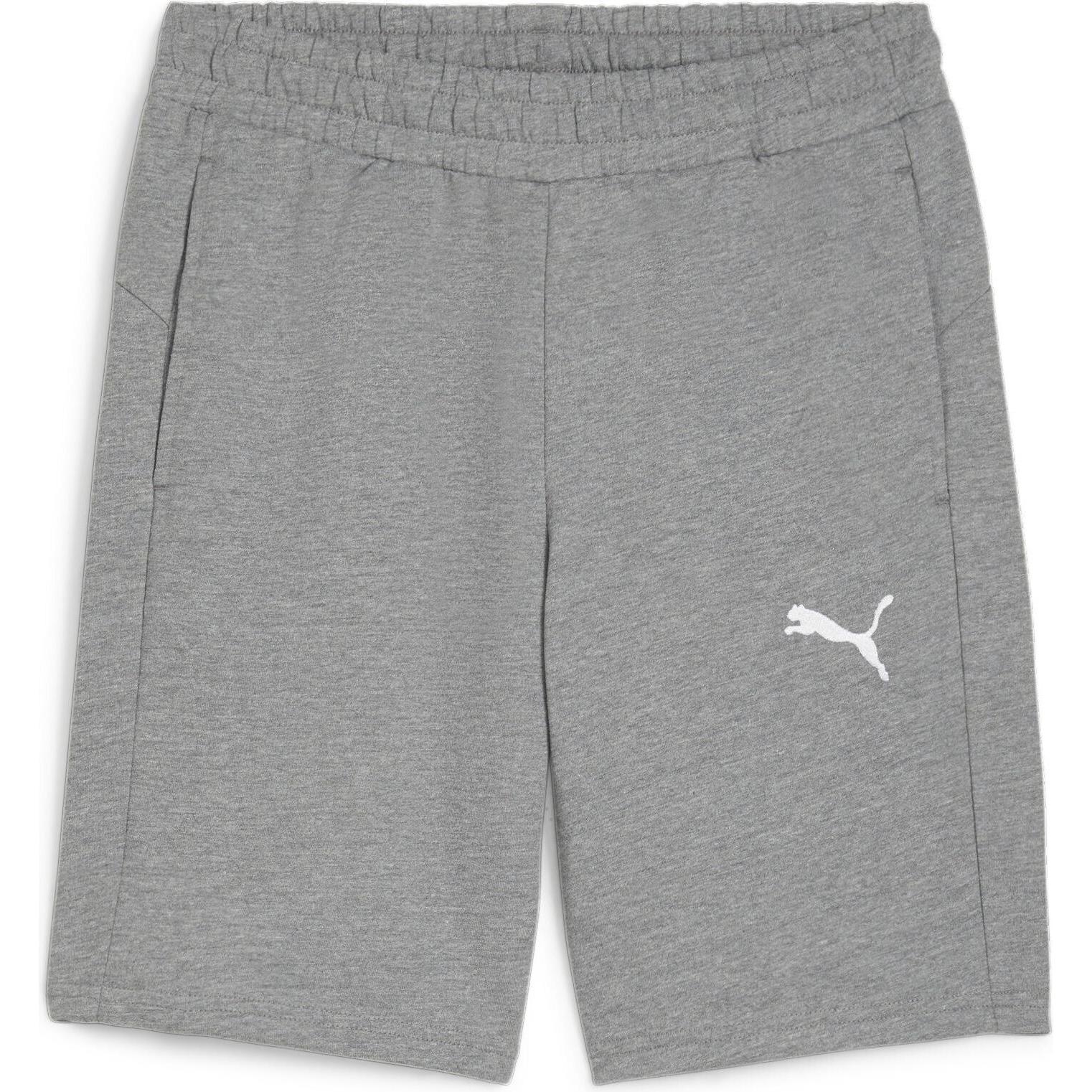 Puma, Herren, Sporthose, teamGOAL Casuals Shorts (S), Grau, S