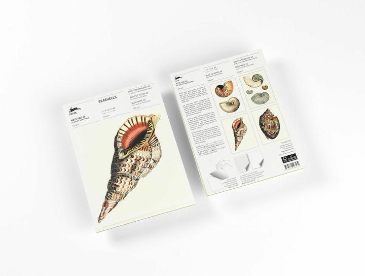 Roojen:Seashells (A5, Lined, Soft cover)