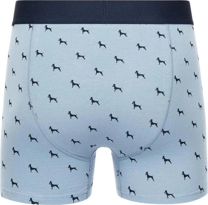 Immagine prodotto Bewley & Ritch Mirador Boxer Uomo Misura Confezione 5 (XXL, Confezione da 5 pezzi)