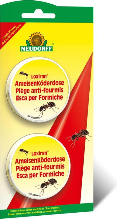 Actual product image Neudorff Loxiran ant bait box