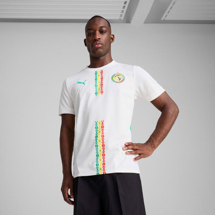 Immagine prodotto Puma Maglia Home FSF Replica (L)