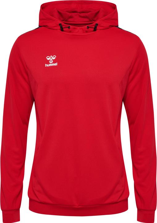 Actual product image hummel Hmlauthentic Pl Hoodie (XL)