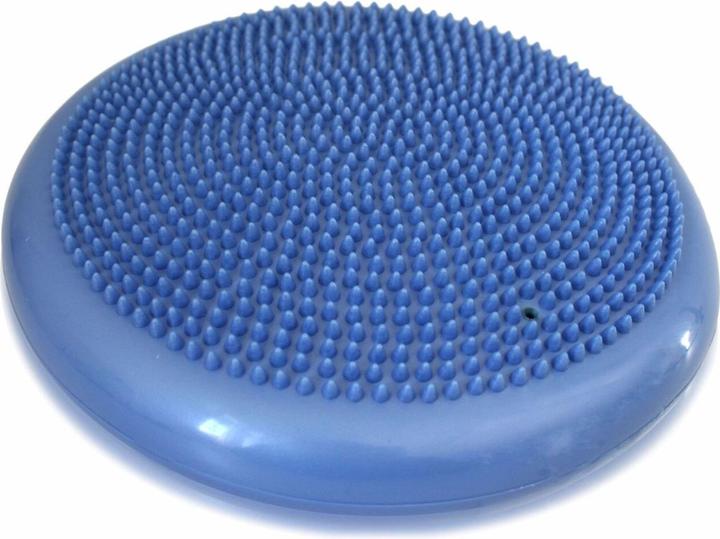 Actual product image Sanctband Sitz- und Balancekissen Blaubeere