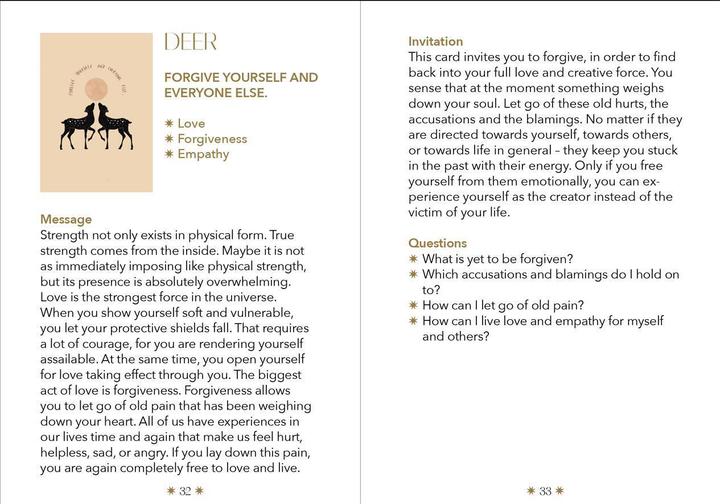 Produktbild Seiler:Spiritual messages from your SPI (Englisch, Laura Malina Seiler, 2022)