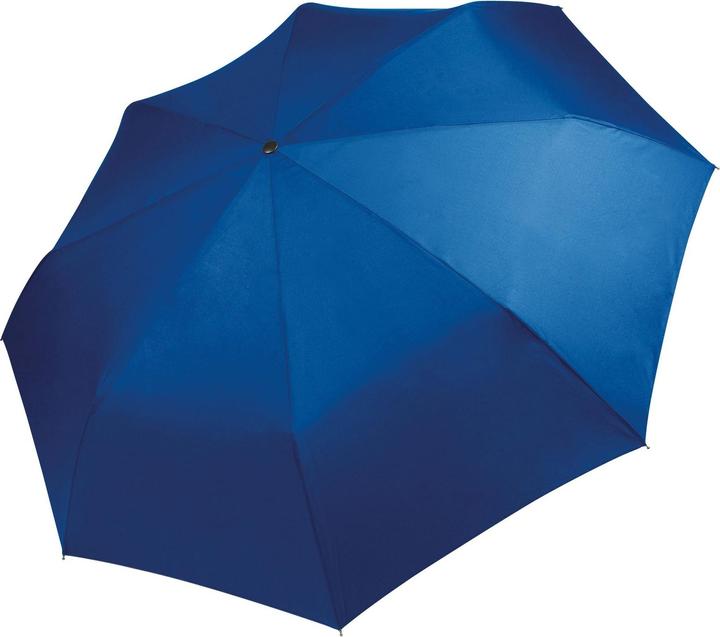 Bleu roi