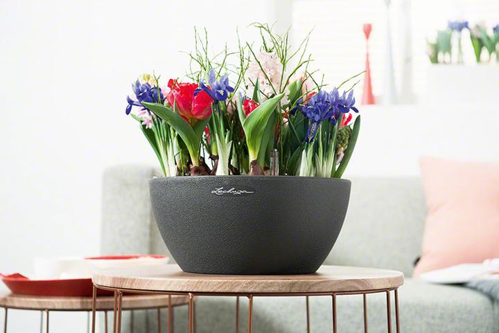 Produktbild Lechuza Cubeto 40 (40 x 18.30 cm)