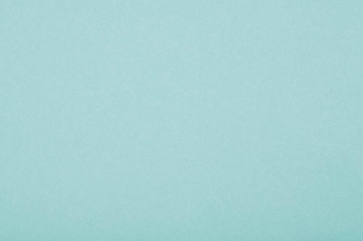 Image du produit Folia Papier toner, DIN A4, 130 g/qm, menthe (130 g/m², 100x)