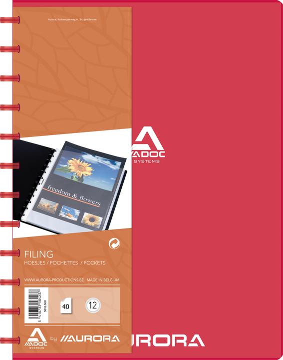 Immagine prodotto Adoc Libro visibile Bind-Ex (A4, 1x)