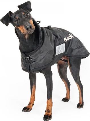 Immagine prodotto Back on Track Cappotto invernale 37 cm - (734004110622) (Cappotto per cani)