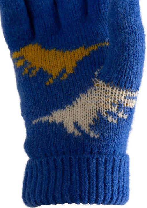 Produktbild Trespass CASPER Kinderhandschuhe (5, 7)