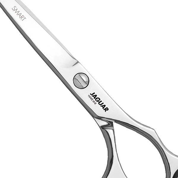 Immagine prodotto Jaguar Linea bianca intelligente HS (13.97 cm)