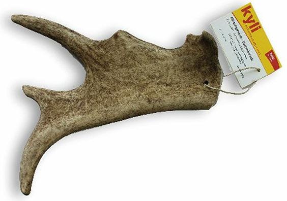 Produktbild Kyli Hirschgeweih Dammwild (Adult, 1 Stk., 200 g)